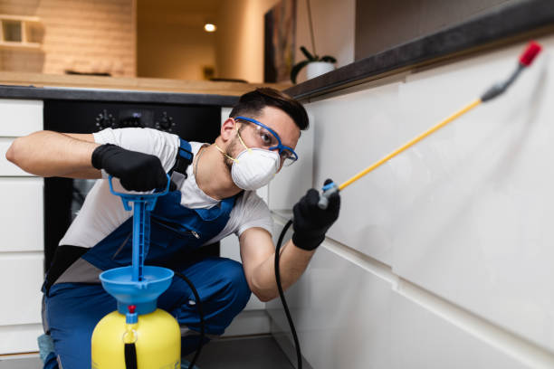 Best Bed Bug Extermination  in Marmora, NJ