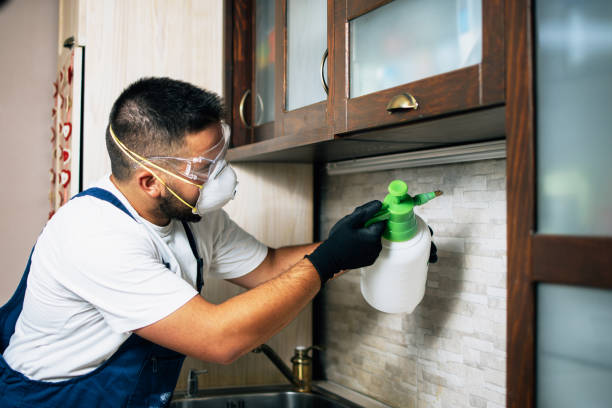 Best Exterminator Services  in Marmora, NJ