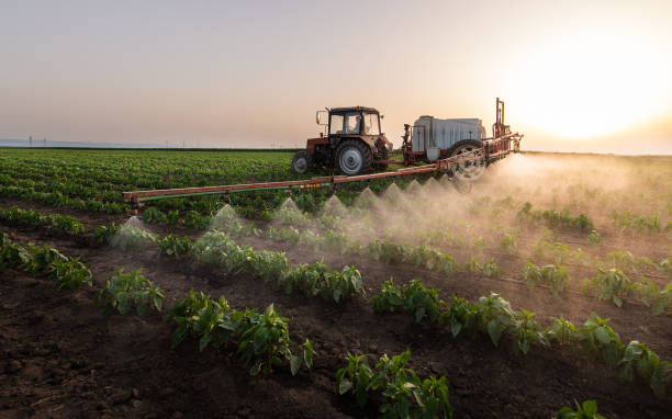 Best Commercial Pest Control Services  in Marmora, NJ