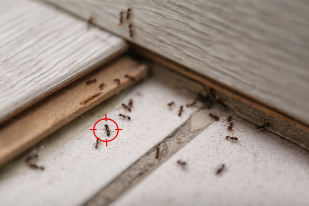 Best Wildlife Control Services  in Marmora, NJ
