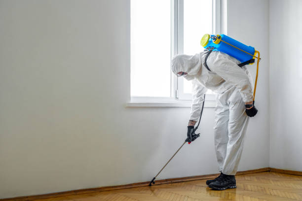 Best Cockroach Control Services  in Marmora, NJ