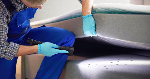 Best Insect Control  in Marmora, NJ